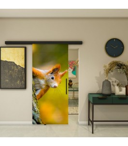 Glasschiebetür BLACK-LINE - Fotoprint Modell 237 | Glastuershop24