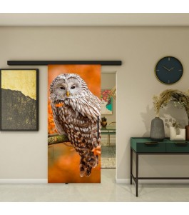 Glasschiebetür BLACK-LINE - Fotoprint Modell 238 | Glastuershop24