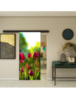 Glasschiebetür BLACK-LINE - Fotoprint Model 282 | Glastuershop24