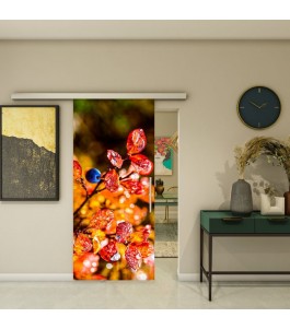 Glasschiebetür SLIM-LINE - Fotoprint Model 188 | Glastuershop24