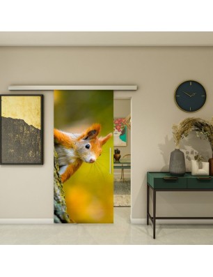 Glasschiebetür SLIM-LINE - Fotoprint Model 237 | Glastuershop24