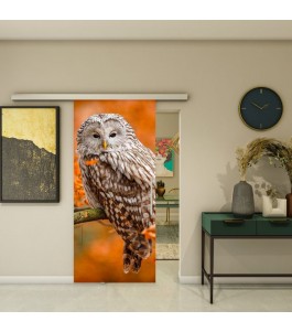 Glasschiebetür SLIM-LINE - Fotoprint Modell 238 | Glastuershop24