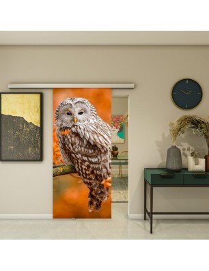 Glasschiebetür SLIM-LINE - Fotoprint Modell 238 | Glastuershop24