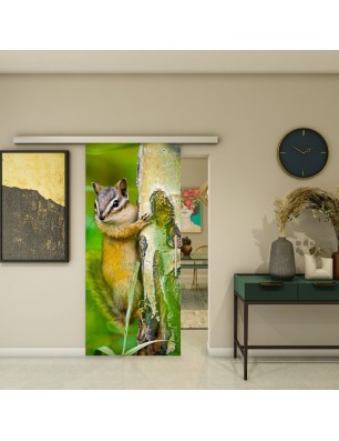 Glasschiebetür SLIM-LINE - Fotoprint Model 240 | Glastuershop24