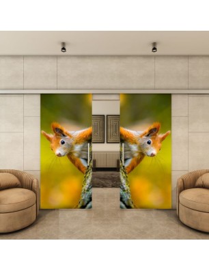 Glasschiebetür SLIM-LINE - Fotoprint Model 237 | Glastuershop24