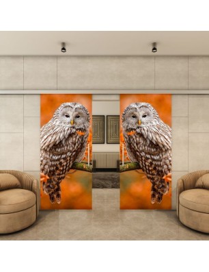 Glasschiebetür SLIM-LINE - Fotoprint Modell 238 | Glastuershop24